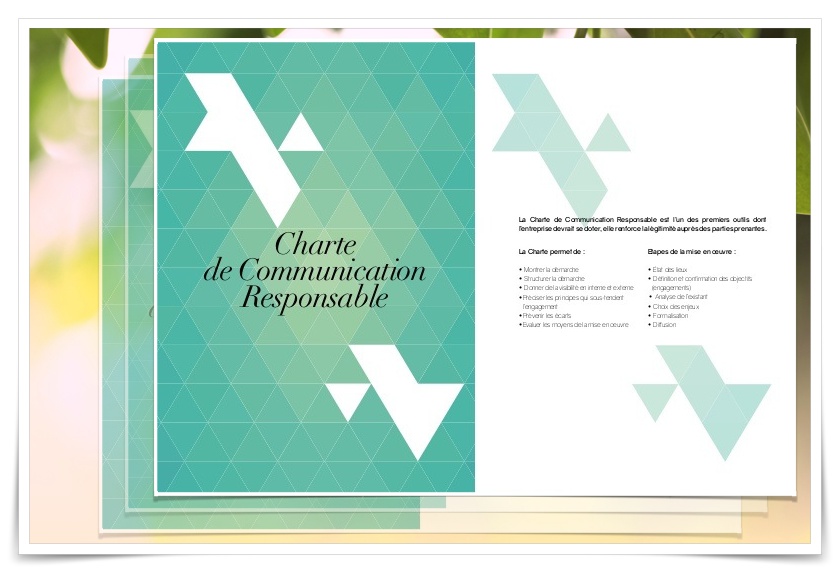 Charte de communication responsable des annonceurs