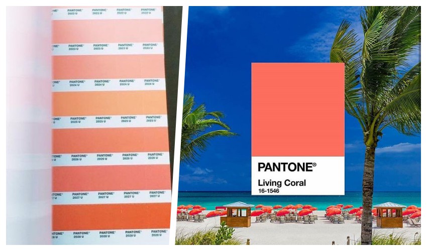 Pantone 2019 Tribute Portfolio Miami