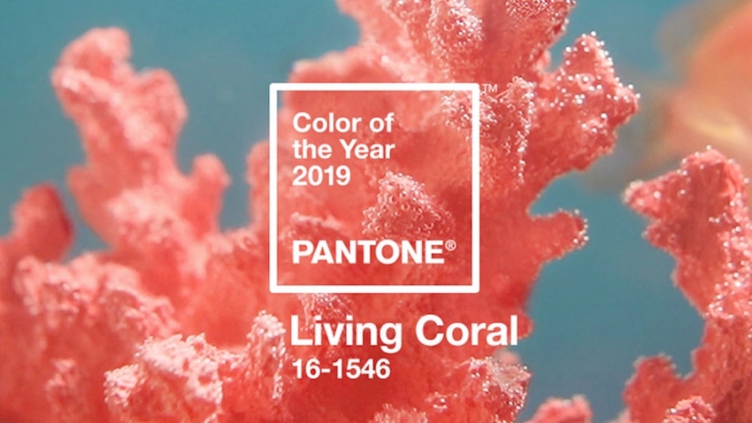 Pantone Living Coral 2019