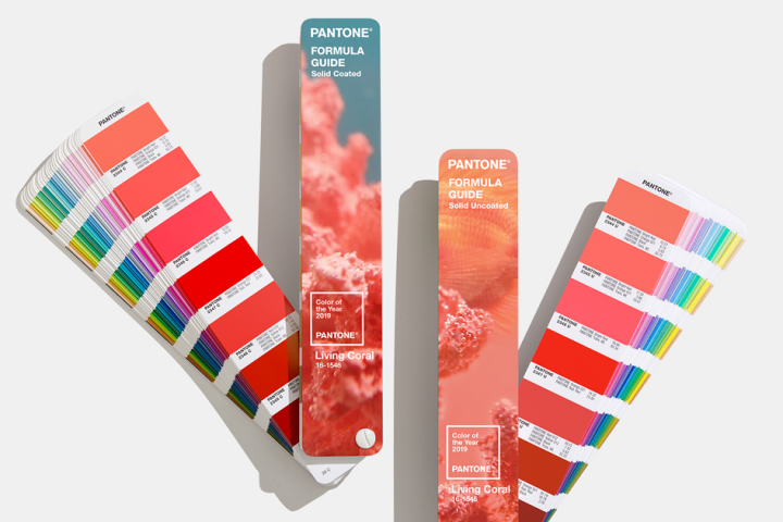 Pantone living coral nuancier