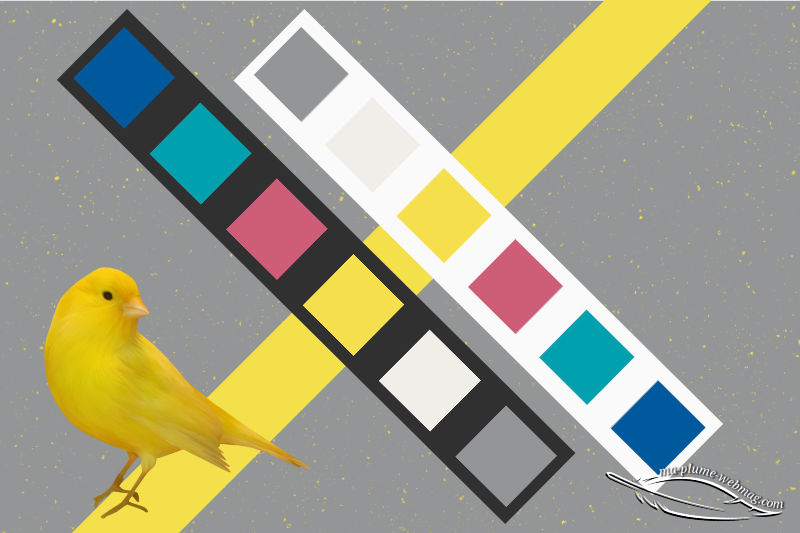 201212 Pantone 2021 Palette Aviary