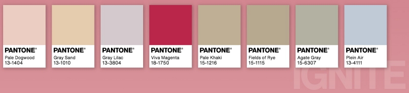 Association de couleurs Pantone autour du Viva Magenta