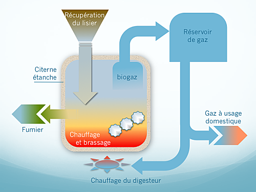 La Biométhanisation Tout Savoir Sur Le