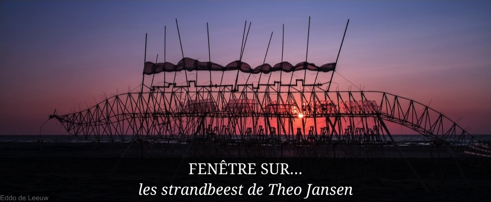 140222 a la une strandbeest theo jansen