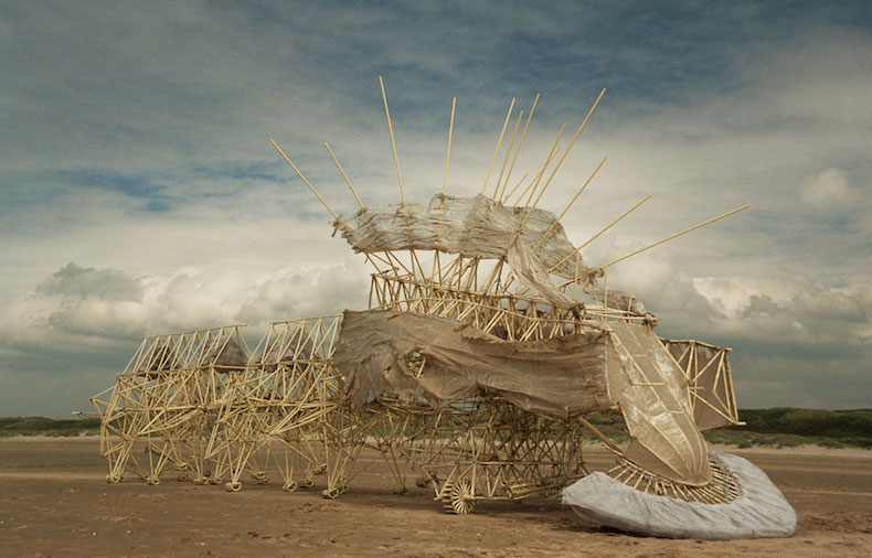 140222 theo jansen strandbeest