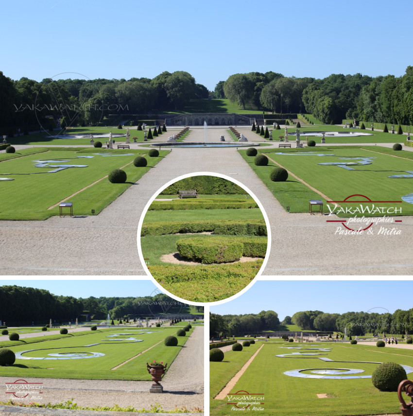 Vaux le Vicomte, l'adieu aux buis