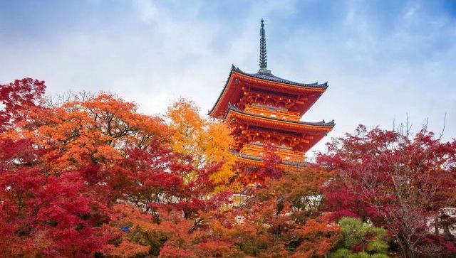 Koyo au temple Kiyomizu Dera à Kyoto