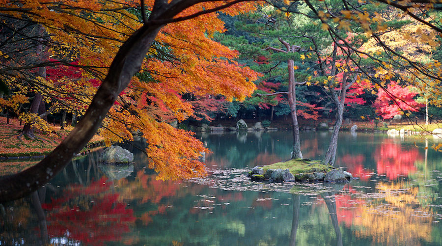 Kōyō à Kyoto