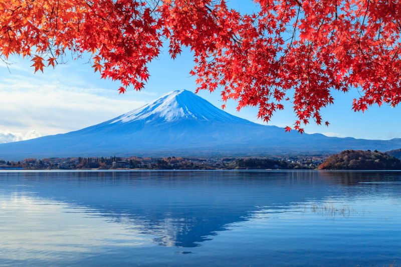 Automne Fujiyama