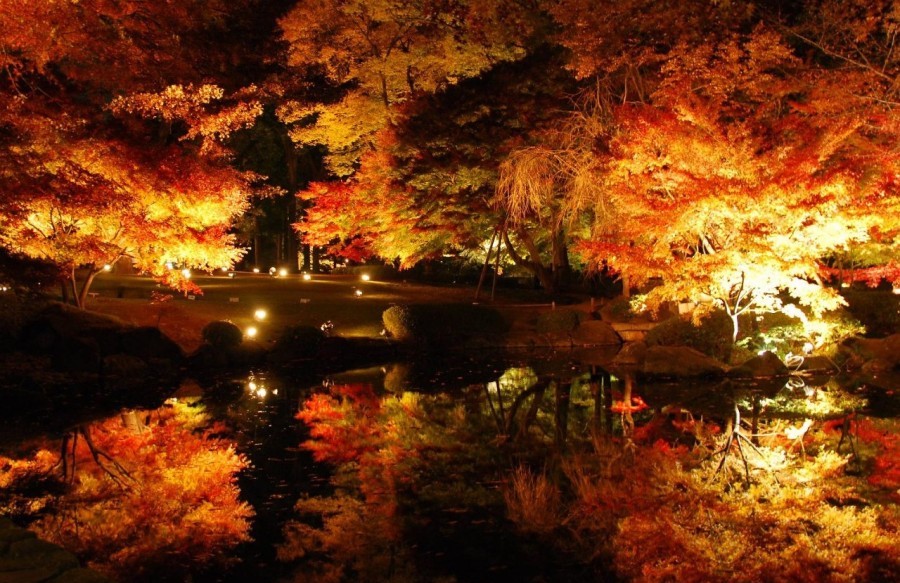 Momiji Koyo de nuit au Japon