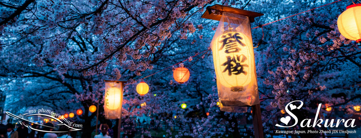 Sakura Hanami au Japon