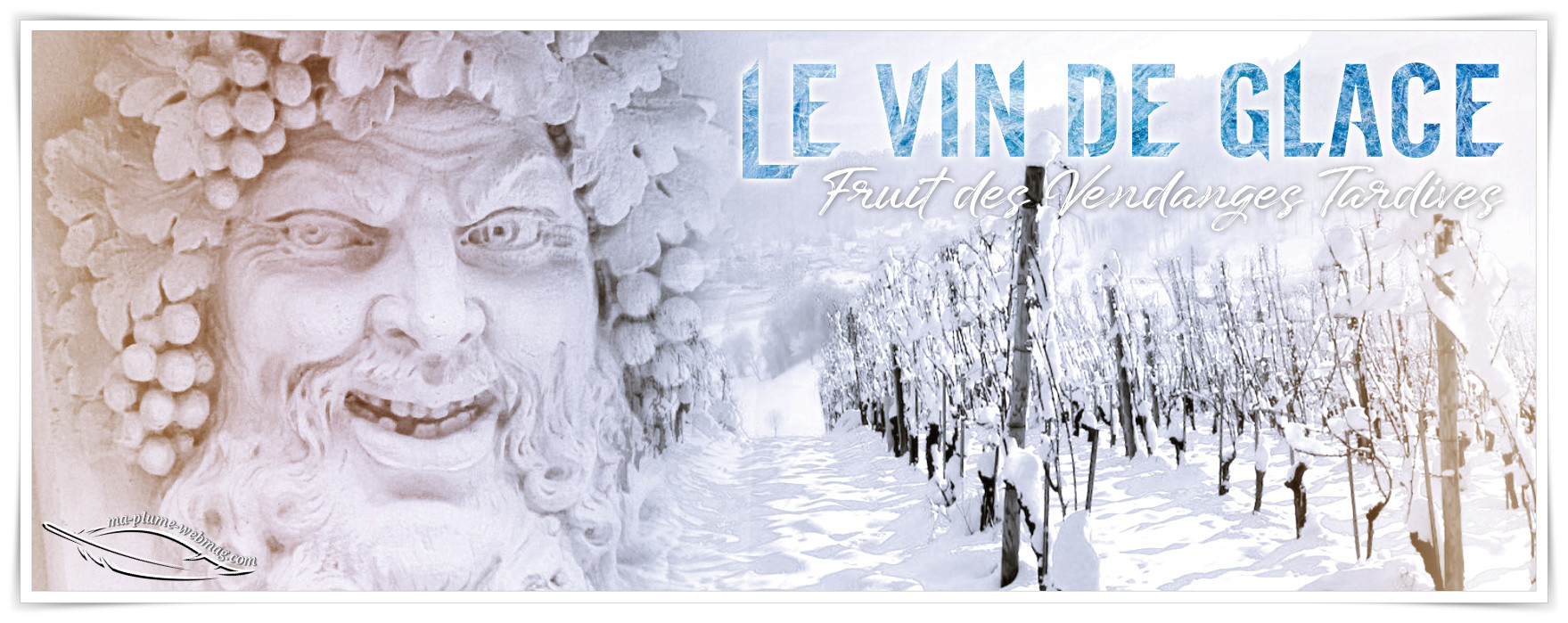 Les vins de glace, fruits des vendanges tardives