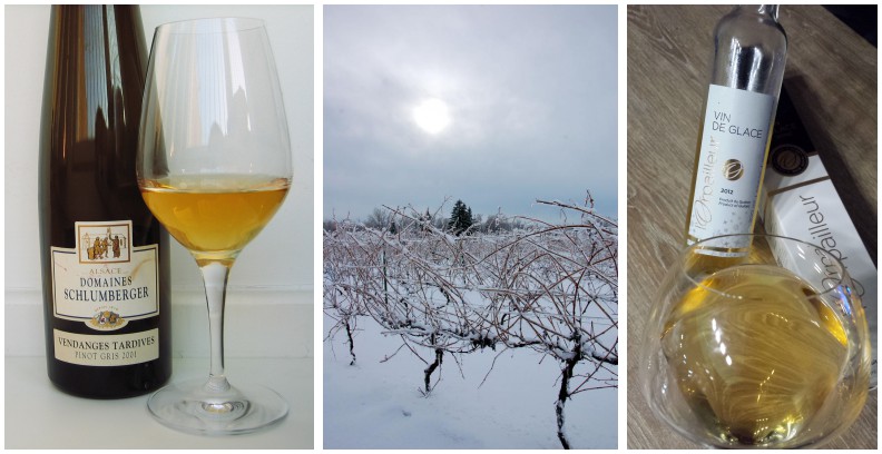 Fruit des vendanges tardives, le Vin de Glace - MA PLUME - WEBMAG