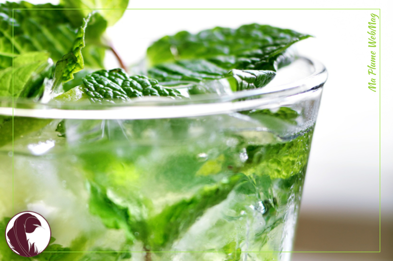 La machine à faire des mojitos a été inventée ! 